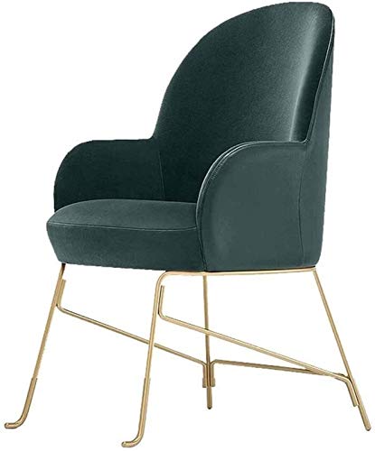 WYL Escarabajo de la Familia de Silla Silla tapizada Cúpula Simple Home PU Silla de Comedor Silla Creativa Nordic Light (Color : Default) WYL Escarabajo de la Familia de Silla Silla tapizada Cúpula Simple Home PU Silla de Comedor Silla Creativa Nordic Light (Color : Default)