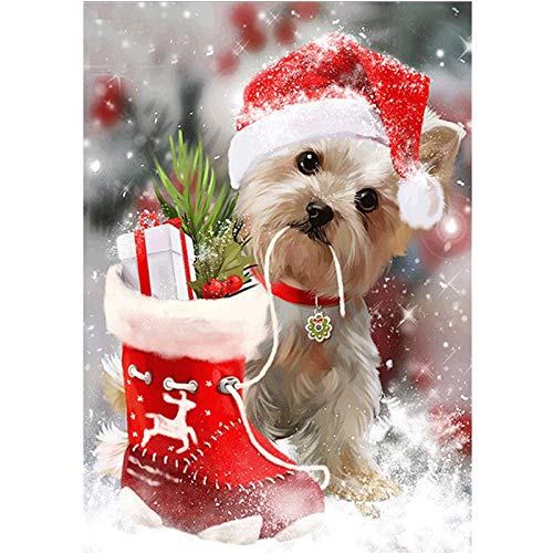 xdai Puzzle 1000 Piezas Adultos -Puzzle Adultos para Ejercitar la Lógica y la Coordinación Sensorial - Rompecabezas Adultos Jigsaw -Calcetín navideño con Perrito -50x75cm