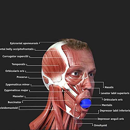 XIGU Jaw Shaper mejillas Jawline ejercitador mordida muscular, bola de entrenamiento de mandíbula doble reducción de presión de la barbilla, fortalece la mandíbula natural delgado negro 60 libras