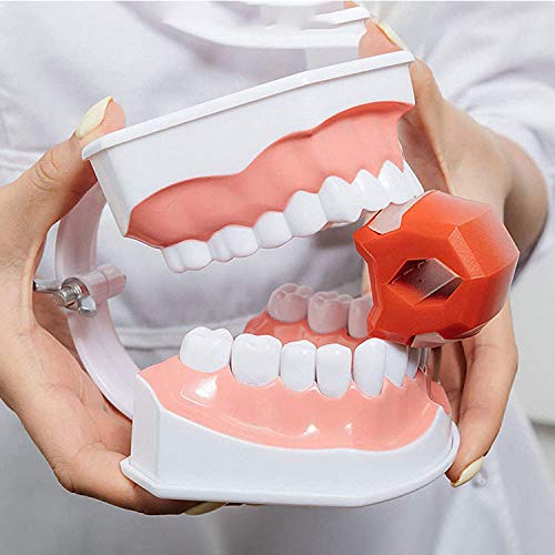 XIGU Jaw Shaper mejillas Jawline ejercitador mordida muscular, bola de entrenamiento de mandíbula doble reducción de presión de la barbilla, fortalece la mandíbula natural delgado negro 60 libras XIGU Jaw Shaper mejillas Jawline ejercitador mordida muscular, bola de entrenamiento de mandíbula doble reducción de presión de la barbilla, fortalece la mandíbula natural delgado negro 60 libras