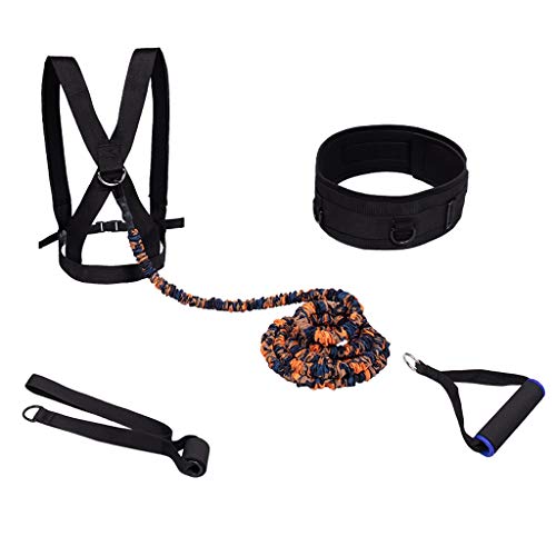 Xingdong Pista y Entrenamiento de Campo del Equipo de la Cintura Banda de Resistencia Sprint Tire de la Cuerda elástica Banda Que Corre la Aptitud de la Goma Durable (Size : 100 lbs 2 m) Xingdong Pista y Entrenamiento de Campo del Equipo de la Cintura Banda de Resistencia Sprint Tire de la Cuerda elástica Banda Que Corre la Aptitud de la Goma Durable (Size : 100 lbs 2 m)