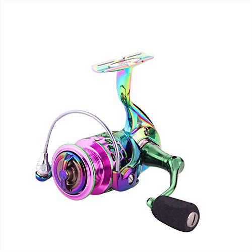 XXBFDT Carrete de Pesca Spinning Rodamientos - Carrete de Pesca de Tiro Largo de Pesca al Aire Libre-Tipo 5000 XXBFDT Carrete de Pesca Spinning Rodamientos - Carrete de Pesca de Tiro Largo de Pesca al Aire Libre-Tipo 5000