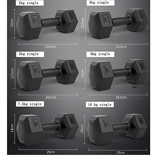 Yajun Sports Mancuernas Entrenamientos Pesas Redondas Pesas Fijas Barra De Trabajo Pesado Gimnasio para Entrenamiento con Pesas para Hombres Y Mujeres,12KG(6KG*2) Yajun Sports Mancuernas Entrenamientos Pesas Redondas Pesas Fijas Barra De Trabajo Pesado Gimnasio para Entrenamiento con Pesas para Hombres Y Mujeres,12KG(6KG*2)