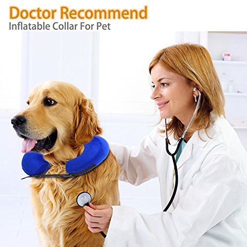YAMI Collar de recuperación Inflable para Perros, Cono de Cuello isabelino Ajustable para Mascotas Recuperación de cirugía o heridas (M)