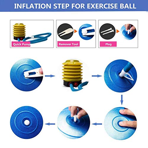 YANGJUNXI - Pelota de ejercicio para embarazo, antiráfagas y antideslizante, con bomba rápida, accesorios para gimnasio, pelotas de ejercicio, bolas de nacimiento, con bola de bomba, color rosa, 42 cm YANGJUNXI - Pelota de ejercicio para embarazo, antiráfagas y antideslizante, con bomba rápida, accesorios para gimnasio, pelotas de ejercicio, bolas de nacimiento, con bola de bomba, color rosa, 42 cm
