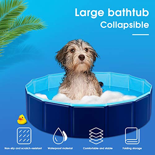 YAOBLUESEA Piscina para Perros, Plegable PVC Piscina Bañera para Gatos Animales Bebes Grandes, Adecuado para Interior y Exterior (160x30cm)