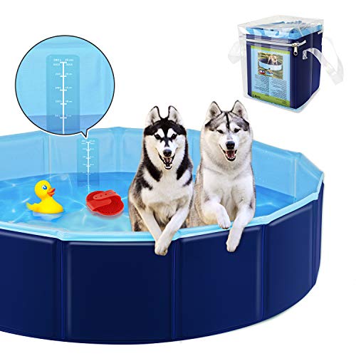 YAOBLUESEA Piscina para Perros, Plegable PVC Piscina Bañera para Gatos Animales Bebes Grandes, Adecuado para Interior y Exterior (160x30cm)