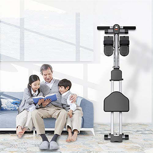 YAzNdom MáQuina De Remar Hogar Remo Indoor Dispositivo Adelgazante y el Abdomen Aptitud Diseño Plegable Ahorra Espacio Adecuado para Fitness En Casa (Color : Gris, Size : 142x48x30cm)