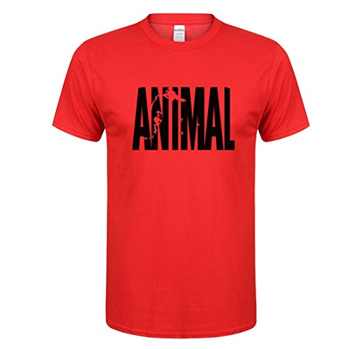 YeeHoo Animal Carta T-Shirt Hombre Camiseta Básica Deportiva De Manga Corta Fitness Gimnasio S-2XL