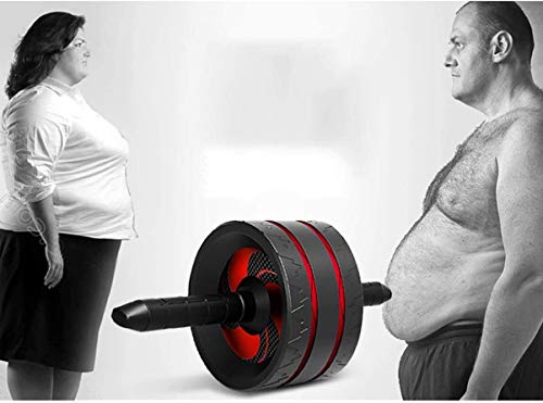 YHLZ Rueda rodillo de Ab, Ab Roller rueda de prensa de la rueda abdominal aptitud del músculo Trainer Máquina ejercitador con cojín for el núcleo del cuerpo adiestramiento en creación de Crossfit ejer YHLZ Rueda rodillo de Ab, Ab Roller rueda de prensa de la rueda abdominal aptitud del músculo Trainer Máquina ejercitador con cojín for el núcleo del cuerpo adiestramiento en creación de Crossfit ejer
