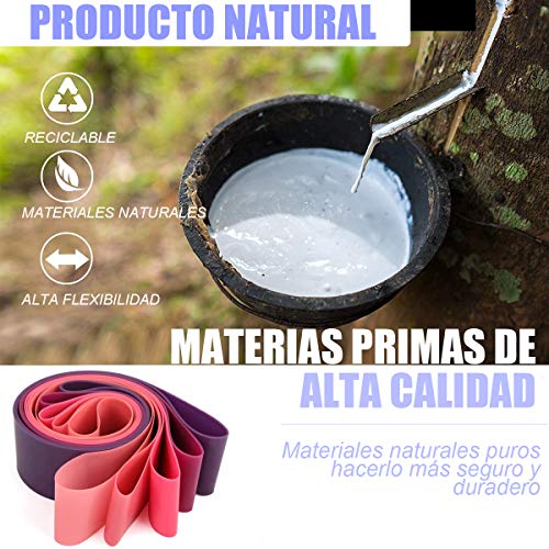 Yicente Bandas Elasticas Musculación Bandas de Resistencia para Gluteos Cadera Piernas Brazos Set de 5 Cintas Elásticas Fitness Látex Natural Bandas para Yoga Crossfit Pilate para Mujer Hombre Yicente Bandas Elasticas Musculación Bandas de Resistencia para Gluteos Cadera Piernas Brazos Set de 5 Cintas Elásticas Fitness Látex Natural Bandas para Yoga Crossfit Pilate para Mujer Hombre