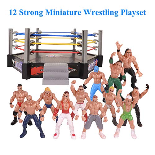 YIJIAOYUN 32pcs Mini Wrestling Playset Incluye 12 Figuras de acción en Miniatura, Jugadores de Lucha y múltiples Accesorios realistas para niños, niños