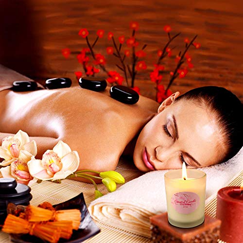 YMing 8 Juegos Velas Aromáticas, Vidrio Mate, Cera de Soja Velas de aromaterapia Cera de Soja Alivio del estrés Regalos, Navidad Femenina, San Valentín Regalos