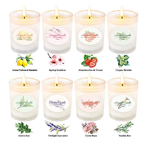 YMing 8 Juegos Velas Aromáticas, Vidrio Mate, Cera de Soja Velas de aromaterapia Cera de Soja Alivio del estrés Regalos, Navidad Femenina, San Valentín Regalos YMing 8 Juegos Velas Aromáticas, Vidrio Mate, Cera de Soja Velas de aromaterapia Cera de Soja Alivio del estrés Regalos, Navidad Femenina, San Valentín Regalos
