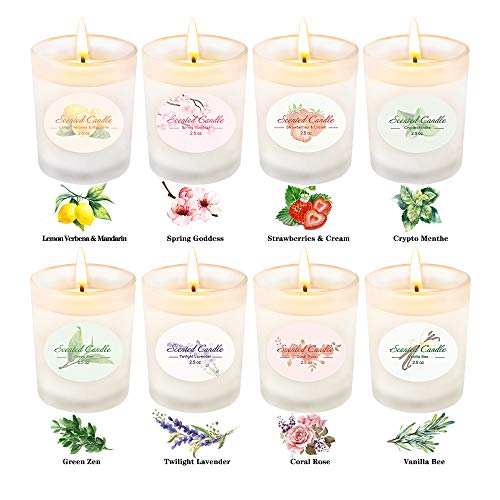 YMing 8 Juegos Velas Aromáticas, Vidrio Mate, Cera de Soja Velas de aromaterapia Cera de Soja Alivio del estrés Regalos, Navidad Femenina, San Valentín Regalos