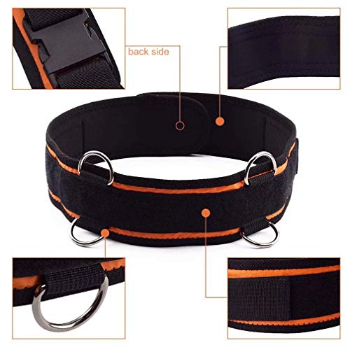 YNXing Fuerza de Las piernas y Sistema de Correas de Entrenamiento de la Agilidad Cuerda de Entrenamiento de la Fuerza para el Fútbol Baloncesto Taekwondo Yoga Equipos de Boxeo (Negro 250lb) YNXing Fuerza de Las piernas y Sistema de Correas de Entrenamiento de la Agilidad Cuerda de Entrenamiento de la Fuerza para el Fútbol Baloncesto Taekwondo Yoga Equipos de Boxeo (Negro 250lb)