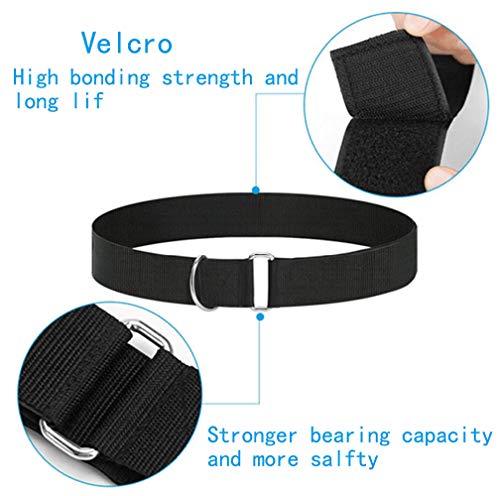 YNXing RCuerda de Entrenamiento de Resistencia Fuerza Explosiva Rebote Entrenamiento Físico Cuerda de Resistencia Que Mejora la Velocidad, La Resistencia y La Fuerza (Cuerda de 5 m) YNXing RCuerda de Entrenamiento de Resistencia Fuerza Explosiva Rebote Entrenamiento Físico Cuerda de Resistencia Que Mejora la Velocidad, La Resistencia y La Fuerza (Cuerda de 5 m)