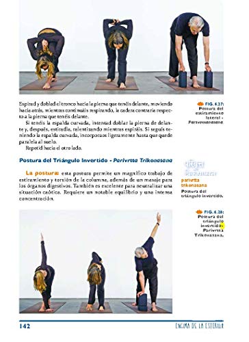 Yoga para Todos. El Yoga para todas las edades