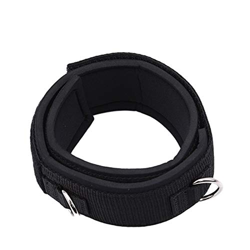 YPASDJH Correas de Tobillo Correa de Anclaje de Tobillo Deportivo Doble Anillo D Gimnasio Correa de polea Polea Levantamiento Fitness Elástico Durable para Entrenamiento en casa y Gimnasio YPASDJH Correas de Tobillo Correa de Anclaje de Tobillo Deportivo Doble Anillo D Gimnasio Correa de polea Polea Levantamiento Fitness Elástico Durable para Entrenamiento en casa y Gimnasio