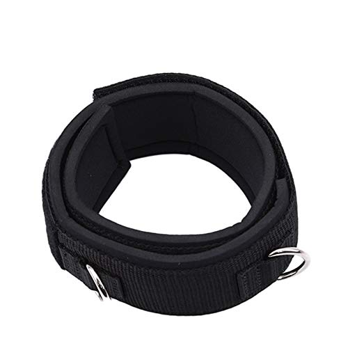 YPASDJH Correas de Tobillo Correa de Anclaje de Tobillo Deportivo Doble Anillo D Gimnasio Correa de polea Polea Levantamiento Fitness Elástico Durable para Entrenamiento en casa y Gimnasio