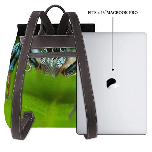 Yuanmeiju Womens Rucksack Backpack Macro Shot of A Jumping Spider Shoulder Schoolbag Leather Laptop Bag Girls Yuanmeiju Womens Rucksack Backpack Macro Shot of A Jumping Spider Shoulder Schoolbag Leather Laptop Bag Girls