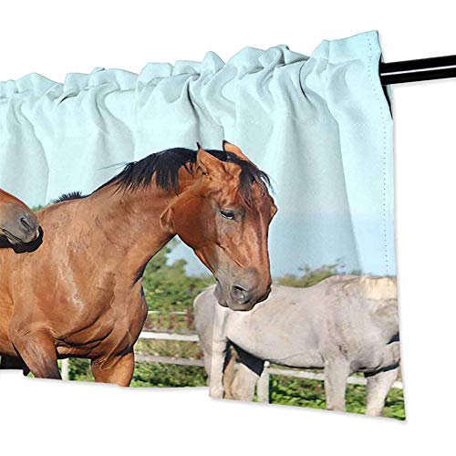 YUAZHOQI - Cenefas de cortina con dos caballos de color marrón para combatir juguetonamente 1 panel de 106,7 x 45,7 cm, impermeable para el baño