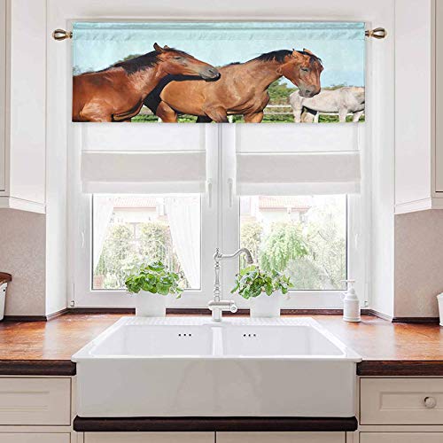 YUAZHOQI - Cenefas de cortina con dos caballos de color marrón para combatir juguetonamente 1 panel de 106,7 x 45,7 cm, impermeable para el baño