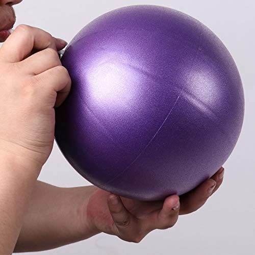 YUEKUN Mini Pelota de Yoga Pilates de PVC a Prueba de explosiones Fitball para Ejercicios de Estabilidad, Entrenamiento, Gimnasio, Antideslizante de 25 cm