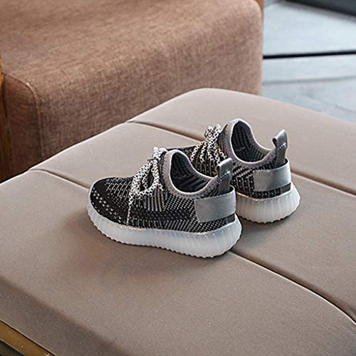 YWLINK Fondo Blando Antideslizante Zapatos para NiñOs Led Volando Tejidas Luces Luces Zapatillas Luminosas Ligeras Zapatillas De Deporte Corriendo Ciclismo CóModo(Negro,23EU) YWLINK Fondo Blando Antideslizante Zapatos para NiñOs Led Volando Tejidas Luces Luces Zapatillas Luminosas Ligeras Zapatillas De Deporte Corriendo Ciclismo CóModo(Negro,23EU)