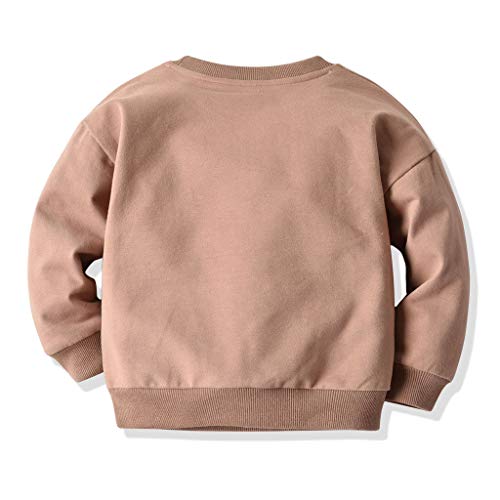 YWLINK Jersey Bebe NiñO Sudadera Animal De Dibujos Animados Cebra Camisa Tops tee Ropa Manga Larga SuéTer para NiñOs Ropa Deportiva Informal Lindo Chaqueta TéRmica OtoñO Nueva(Caqui,2-3 años/90)