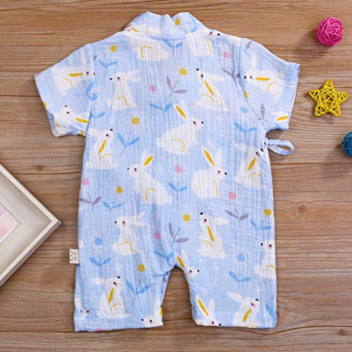 YWLINK ReciéN Nacido NiñO NiñAs Mono Corto De Manga Corta con Estampado De Dibujos Animados Kimono De Gasa Pijama Mameluco Algodon CóModo Bautismo Primer Ropa De Fiesta(Azul Claro,18-24 meses/90) YWLINK ReciéN Nacido NiñO NiñAs Mono Corto De Manga Corta con Estampado De Dibujos Animados Kimono De Gasa Pijama Mameluco Algodon CóModo Bautismo Primer Ropa De Fiesta(Azul Claro,18-24 meses/90)
