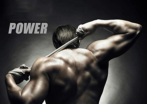 YWQZ Ajustable Banco de Pesas Plegable Banco de Musculación Gimnasio en casa, Inclinación/Disminución Press de banca, Entrenamiento de Abdominales Superiores, Elevaciones de la YWQZ Ajustable Banco de Pesas Plegable Banco de Musculación Gimnasio en casa, Inclinación/Disminución Press de banca, Entrenamiento de Abdominales Superiores, Elevaciones de la