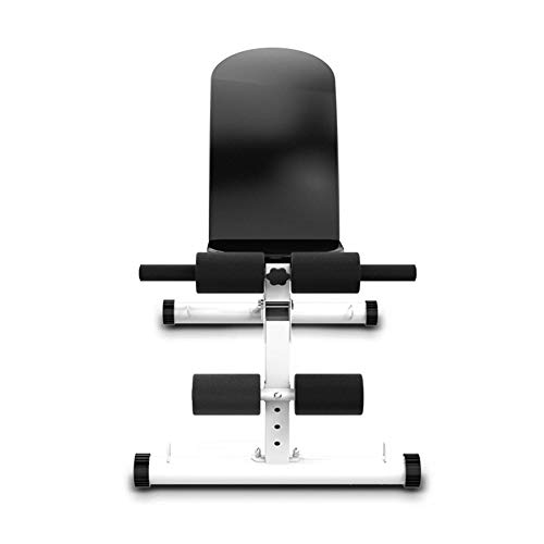 YWQZ Banco de Abdominales Plegable Banco de musculación Ajustable Banco Fitness Professional Pesas y Barra 300kg Gimnasio casero del Ejercicio Entrenamiento para Cuerpo Completo