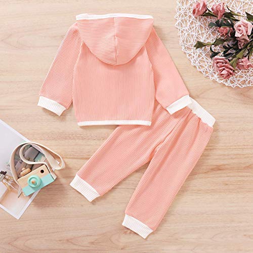 YZ-YUAN Niñas bebés Otoño Invierno Trajes Sudadera con Capucha de Manga Larga Top sólido Pantalón Largo Conjuntos de Ropa para niña recién Nacida YZ-YUAN Niñas bebés Otoño Invierno Trajes Sudadera con Capucha de Manga Larga Top sólido Pantalón Largo Conjuntos de Ropa para niña recién Nacida