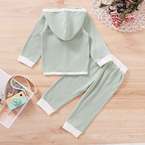 YZ-YUAN Niñas bebés Otoño Invierno Trajes Sudadera con Capucha de Manga Larga Top sólido Pantalón Largo Conjuntos de Ropa para niña recién Nacida YZ-YUAN Niñas bebés Otoño Invierno Trajes Sudadera con Capucha de Manga Larga Top sólido Pantalón Largo Conjuntos de Ropa para niña recién Nacida
