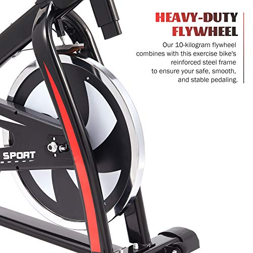 Z Zelus Bicicleta Estática para Fitness de Capacidad 120KG Bicicleta de Spinning Profesional con Volante 10KG Exercise Bike con Asiento Ajustable para Casa y Gimnasio