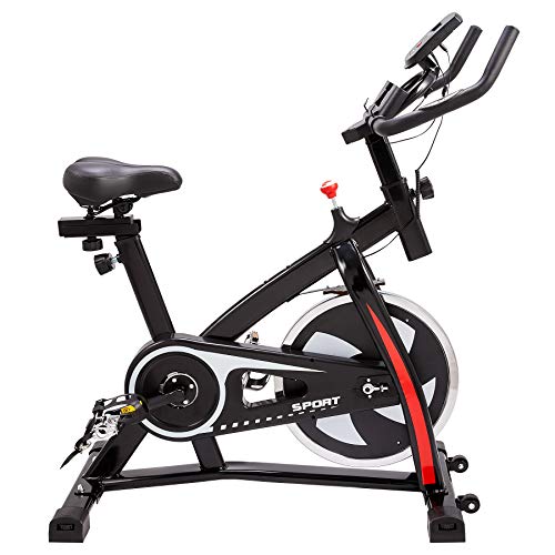 Z Zelus Bicicleta Estática para Fitness de Capacidad 120KG Bicicleta de Spinning Profesional con Volante 10KG Exercise Bike con Asiento Ajustable para Casa y Gimnasio