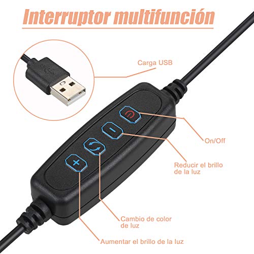 Zacro 6 Pulgadas LED Anillo de Luz Trípode y Soporte para Teléfono, 3 Modos de Luz y 10 Niveles de Brillo, Soporte para Selfie, Ring Light LED para Transmisión en Vivo, Movil, Selfie Zacro 6 Pulgadas LED Anillo de Luz Trípode y Soporte para Teléfono, 3 Modos de Luz y 10 Niveles de Brillo, Soporte para Selfie, Ring Light LED para Transmisión en Vivo, Movil, Selfie