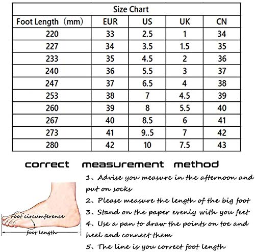 Zapatillas De Skate Unisex para Niños con LED, Monopatín Deportivo con Cuatro Ruedas Dobles, 7 Colores, Patines Luminosos Intermitentes, Zapatillas Deportivas Ajustables para Exteriores,White-38 Zapatillas De Skate Unisex para Niños con LED, Monopatín Deportivo con Cuatro Ruedas Dobles, 7 Colores, Patines Luminosos Intermitentes, Zapatillas Deportivas Ajustables para Exteriores,White-38
