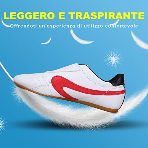 Zapatos de Taekwondo, Unisex Taekwondo Boxeo Kung Fu Tai Chi Deporte Zapatos de Gimnasia para Niños Adultos Caliente(44) Zapatos de Taekwondo, Unisex Taekwondo Boxeo Kung Fu Tai Chi Deporte Zapatos de Gimnasia para Niños Adultos Caliente(44)