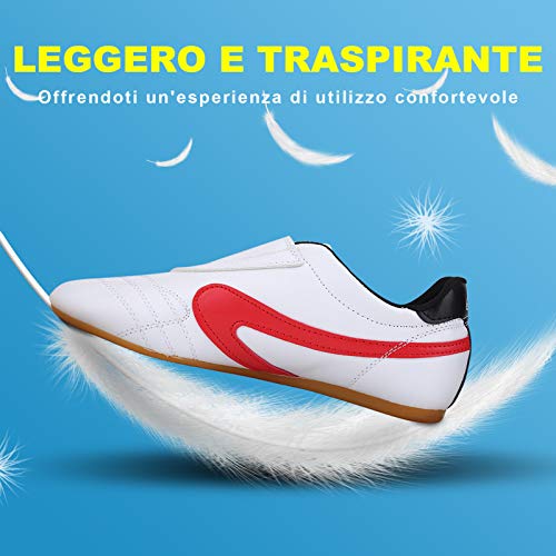 Zapatos de Taekwondo, Unisex Taekwondo Boxeo Kung Fu Tai Chi Deporte Zapatos de Gimnasia para Niños Adultos Caliente(44)