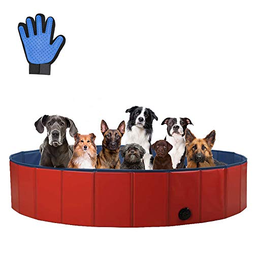 ZEHNHASE Piscina para Mascotas Plegable, PVC Antideslizante y Resistente al Desgaste Piscina para Perros, Adecuado para Niños/Mascotas Perros (XL:160x30CM)