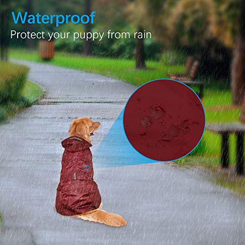 Zellar Impermeable para Perros con Capucha y Collar Agujero y Tiras reflectoras seguras, Ultra-Light Transpirable Impermeable 100% Chaqueta para Lluvia medianos Perro de Raza Grande Zellar Impermeable para Perros con Capucha y Collar Agujero y Tiras reflectoras seguras, Ultra-Light Transpirable Impermeable 100% Chaqueta para Lluvia medianos Perro de Raza Grande