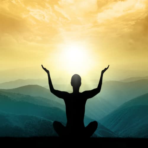 Zen TV Zen TV