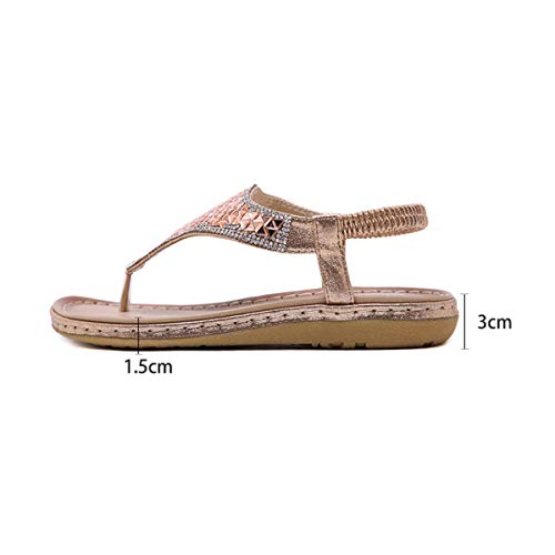 ZGYQGOO Chanclas Sandalias Mujer Verano