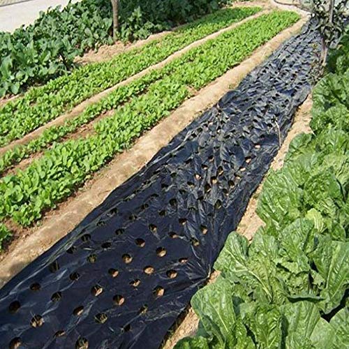 Zhanglie Agricultural - Película perforada para el crecimiento de invernaderos vegetales, mantillos