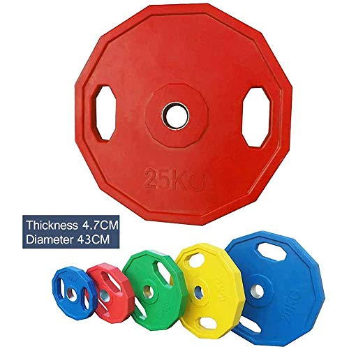 ZJYB Mancuernas Discos Set Body Pump Juego de Discos Ideal para la práctica de Ejercicios de Crossfit o musculación y finess,2x25kg