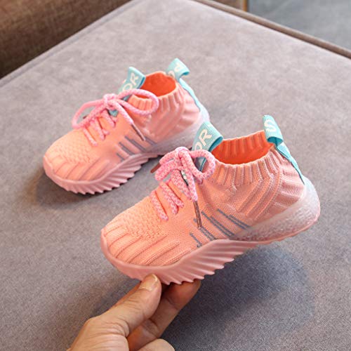 ZODOF Niño pequeño Bebé Niños Niñas Niños Zapatillas de Deporte Casuales Malla Zapatillas de Deporte Zapatos Zapatillas Respirable Mocasines ZODOF Niño pequeño Bebé Niños Niñas Niños Zapatillas de Deporte Casuales Malla Zapatillas de Deporte Zapatos Zapatillas Respirable Mocasines