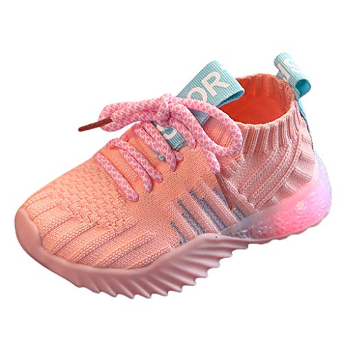 ZODOF Niño pequeño Bebé Niños Niñas Niños Zapatillas de Deporte Casuales Malla Zapatillas de Deporte Zapatos Zapatillas Respirable Mocasines ZODOF Niño pequeño Bebé Niños Niñas Niños Zapatillas de Deporte Casuales Malla Zapatillas de Deporte Zapatos Zapatillas Respirable Mocasines