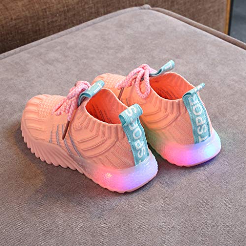 ZODOF Niño pequeño Bebé Niños Niñas Niños Zapatillas de Deporte Casuales Malla Zapatillas de Deporte Zapatos Zapatillas Respirable Mocasines ZODOF Niño pequeño Bebé Niños Niñas Niños Zapatillas de Deporte Casuales Malla Zapatillas de Deporte Zapatos Zapatillas Respirable Mocasines